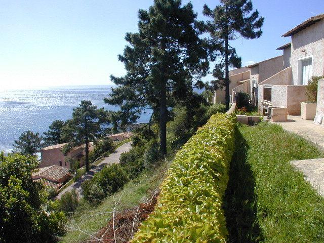 Residence Monte Marina Conca Bagian luar foto